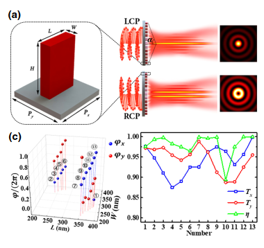 Generation and Conversion Dynamics of Dual Bessel Beams with a Photonic Spin-Dependent Dielectric Metasurface