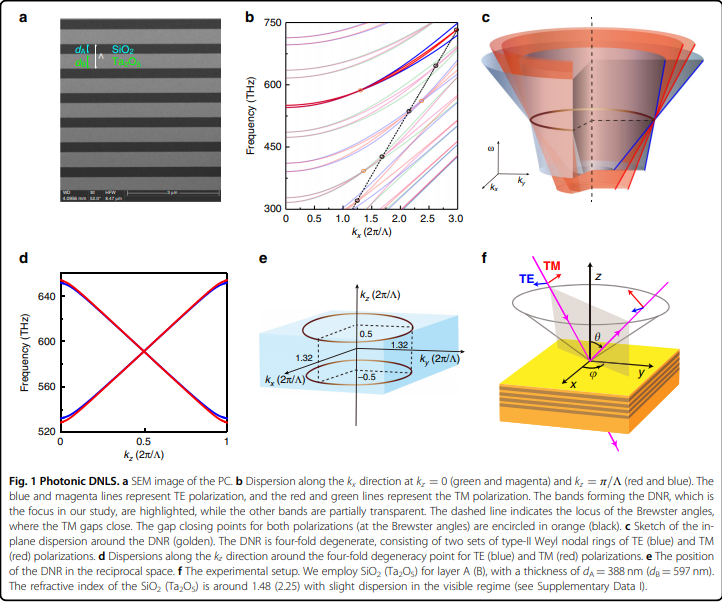 Double-bowl state in photonic Dirac nodal line semimetal
