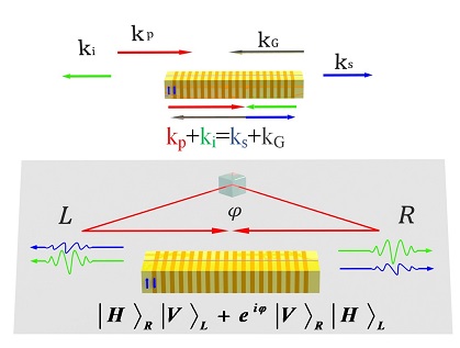 Narrowband photonic quantum entanglement with counterpropagating domain engineering