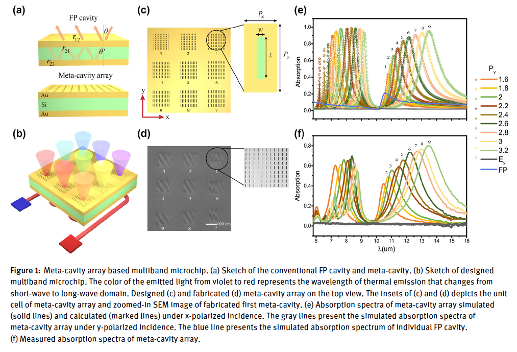 Integrated thermal emission microchip based on meta-cavity array