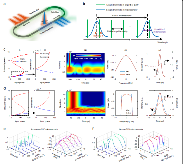Dissipative soliton generation and real-time dynamics in microresonator-filtered fiber lasers