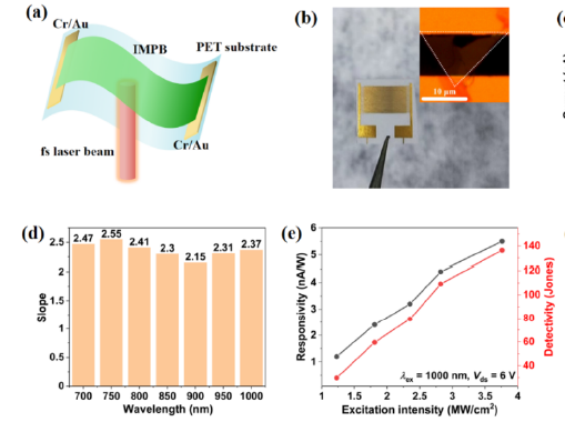 Two-photon absorption flexible photodetector responsive to femtosecond laser