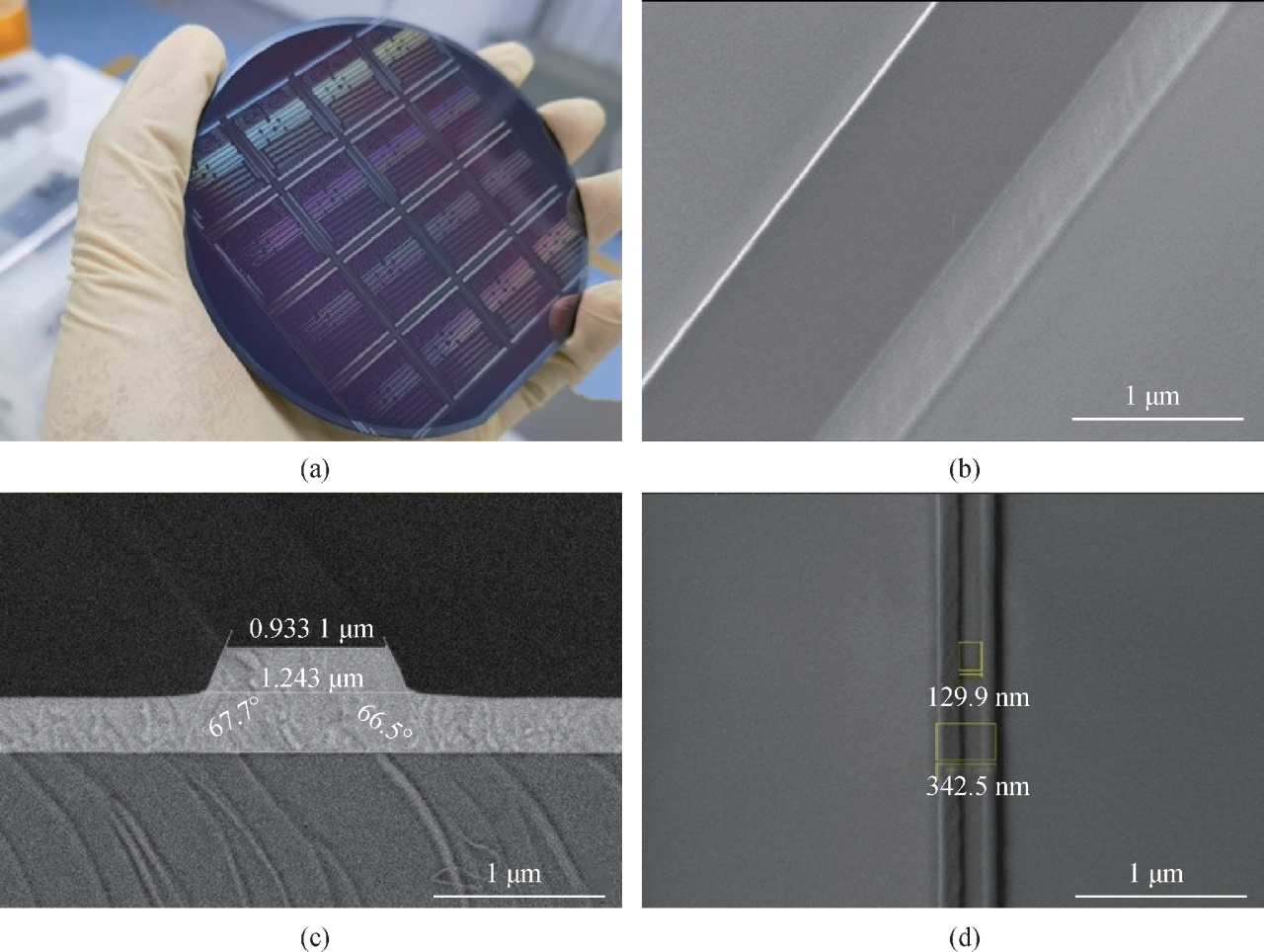 Fabrication and Characterization of Wafer-Scale Thin-Film Lithium Niobate Waveguides