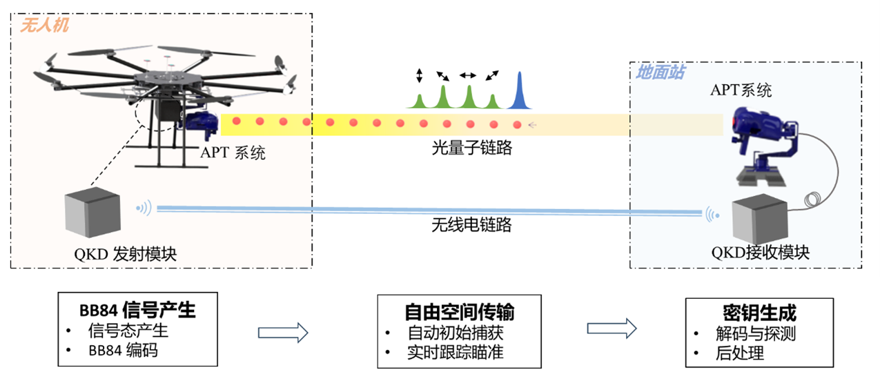 Experimental Demonstration of Drone-Based Quantum Key Distribution