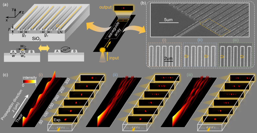 Dissipative Topological Dynamics in Optical Waveguides: Sensitivity versus Robustness
