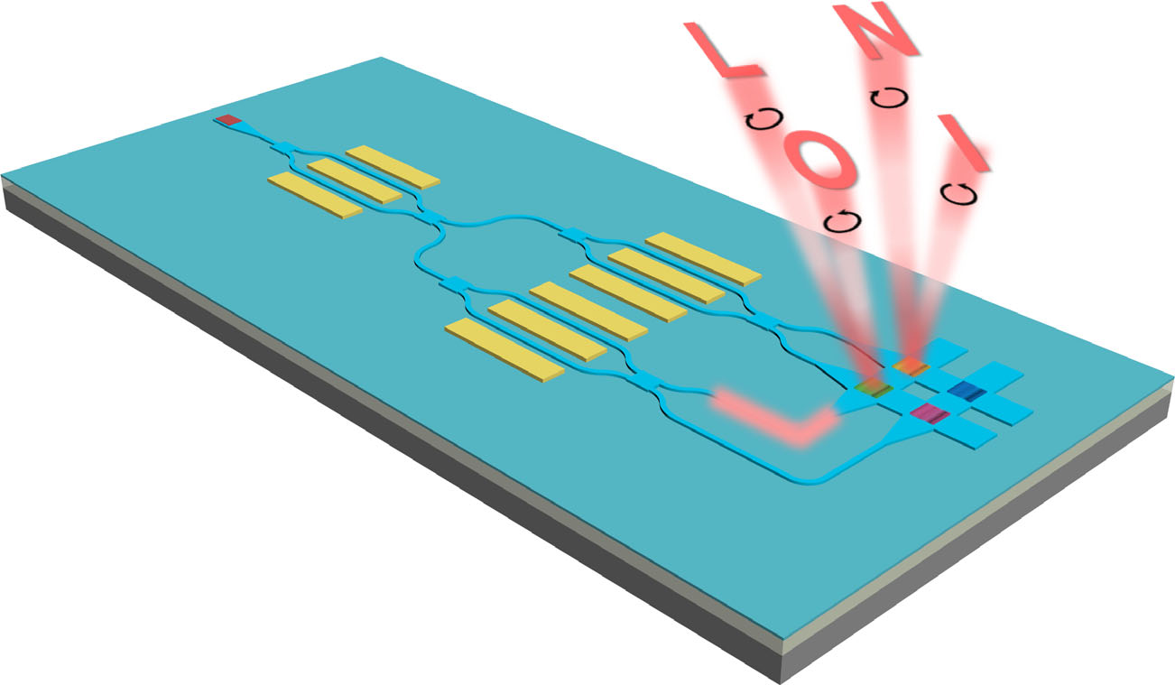 Dynamic holographic display with addressable onchip metasurface network based on lithium niobate photonics