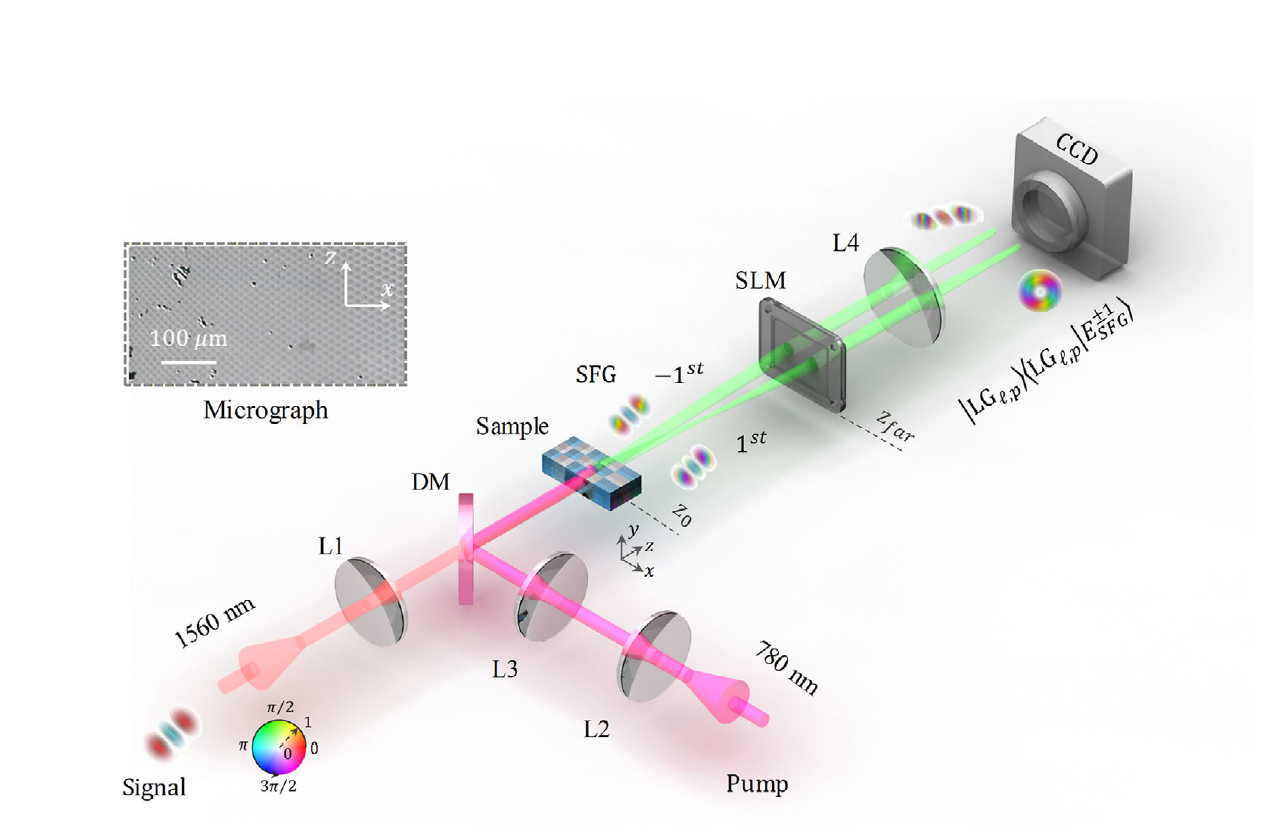 Nonlinear Photonic Crystals Enabled Parametric Modal Interface for Structured Light