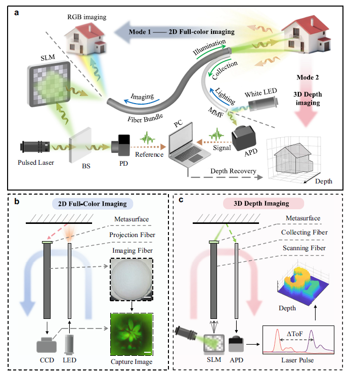 Full-color 3D visualization with Janus metafiber